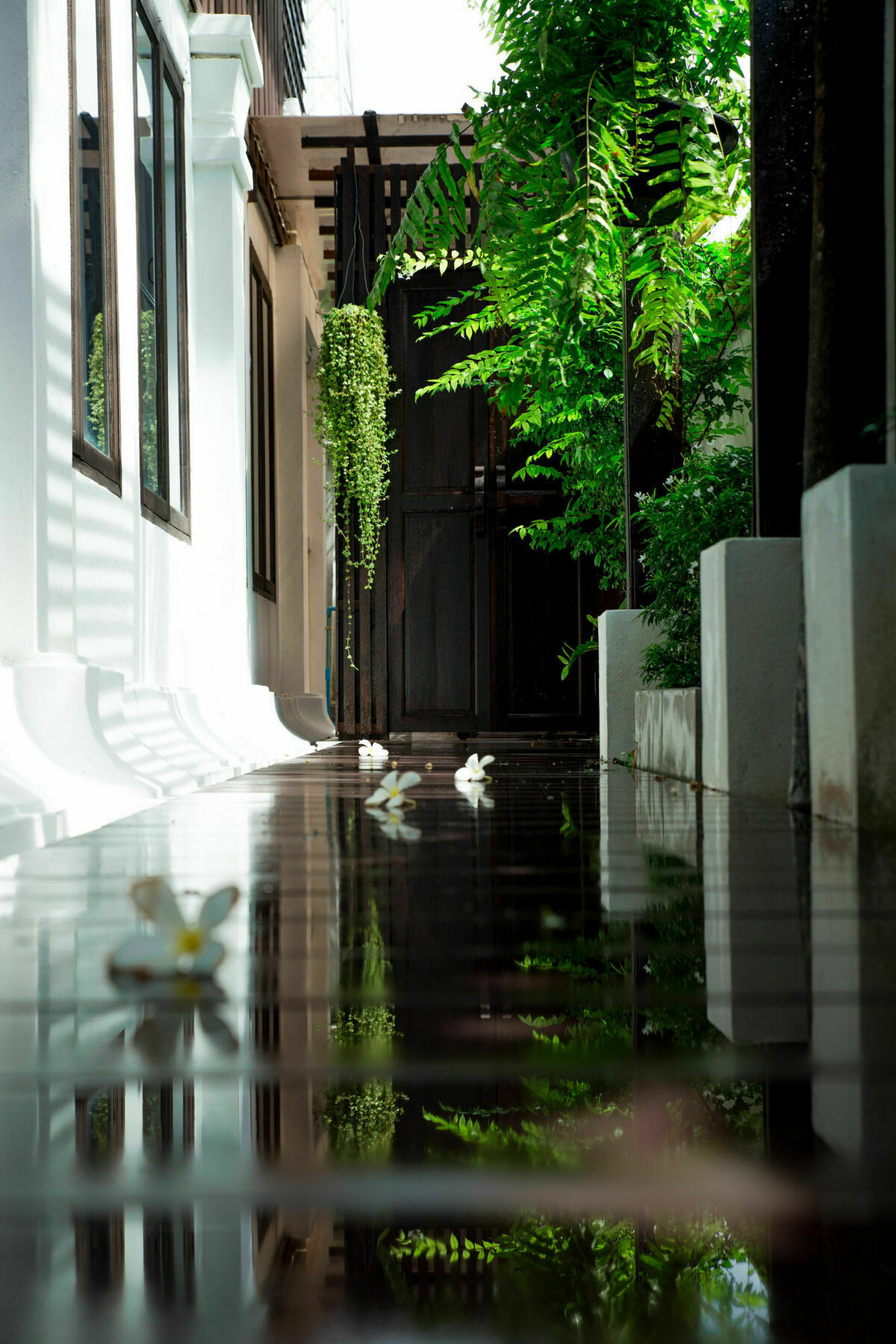 Rachamankha Thai Villa Chiang Mai Exterior photo